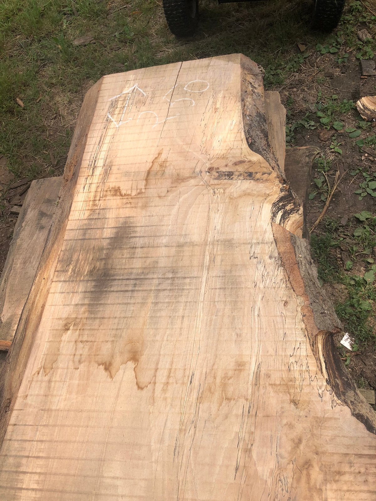 Droog beuken rest stukken, Ophalen, Zo goed als nieuw, Plank, Beuken