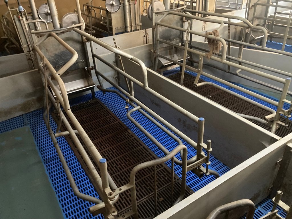 Kraamhokken voor zeugen, Dieren en Toebehoren, Stalling