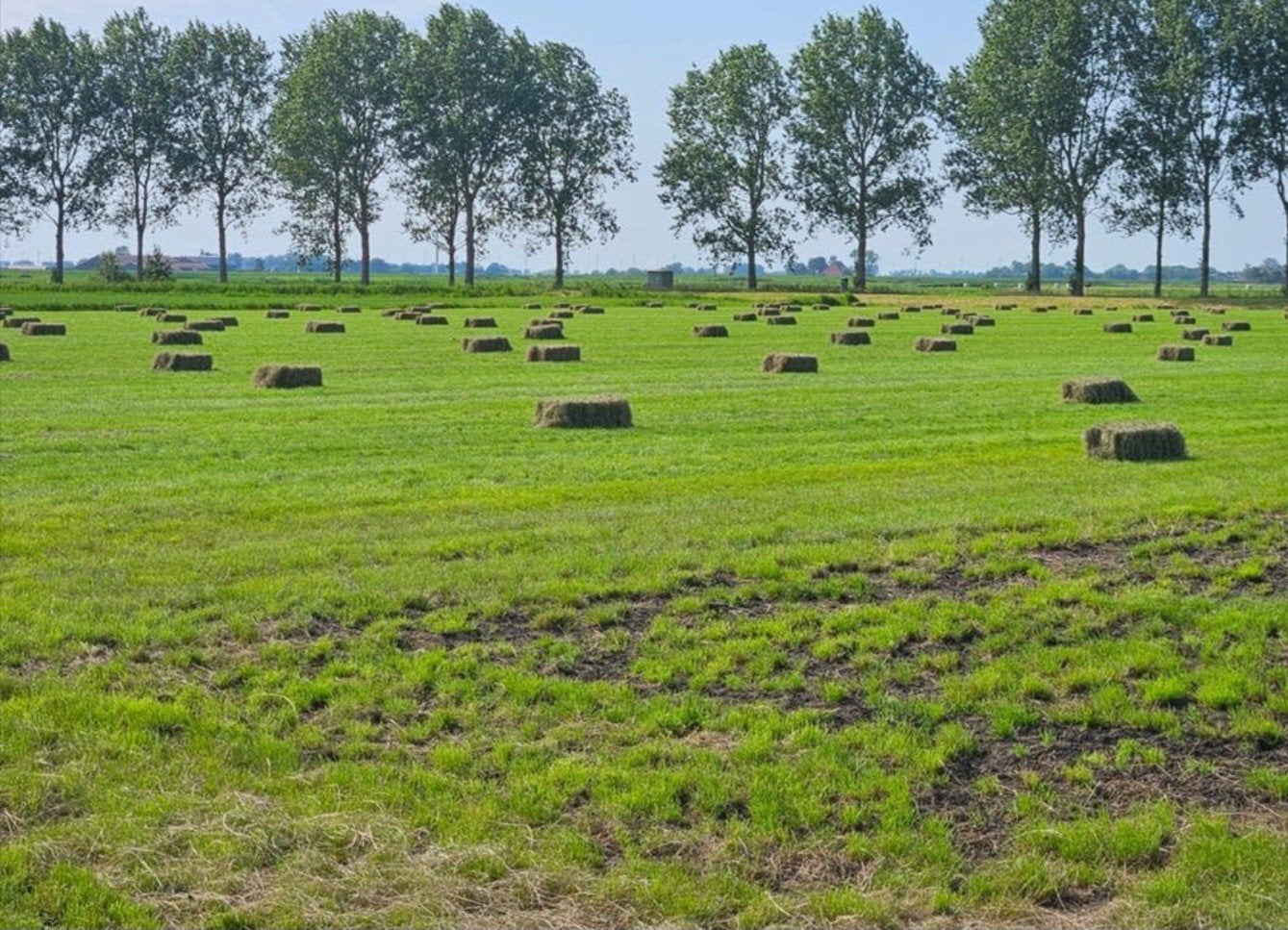 kleine pakjes hooi baaltjes hooi, Ophalen, Vee