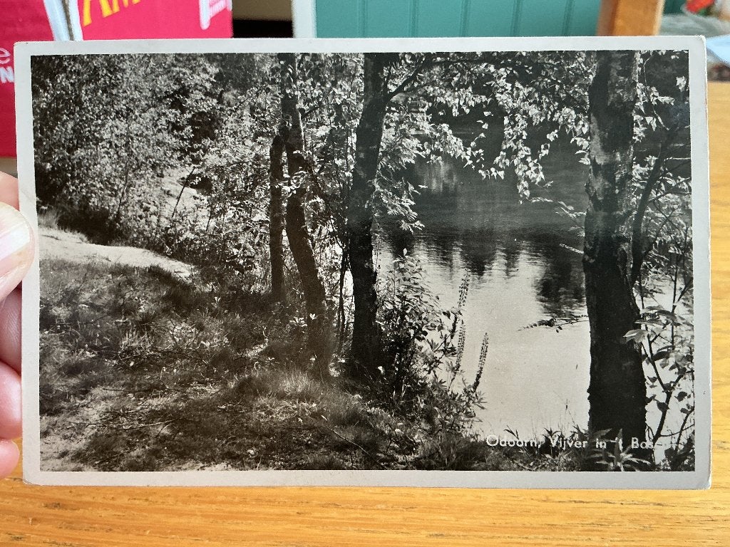 Odoorn, Verzenden, 1940 tot 1960, Gelopen, Drenthe