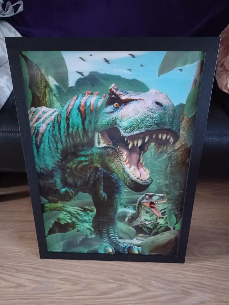 T-Rex & Velociraptor dinosaurus 3D kunststof poster in frame, Ophalen, 50 tot 75 cm, Zo goed als nieuw, Foto of Poster