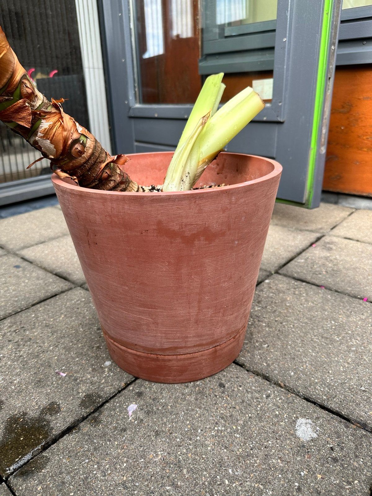 kunststof bloempot terracottalook (ecopots), Kunststof, Gebruikt, Rond, Binnen