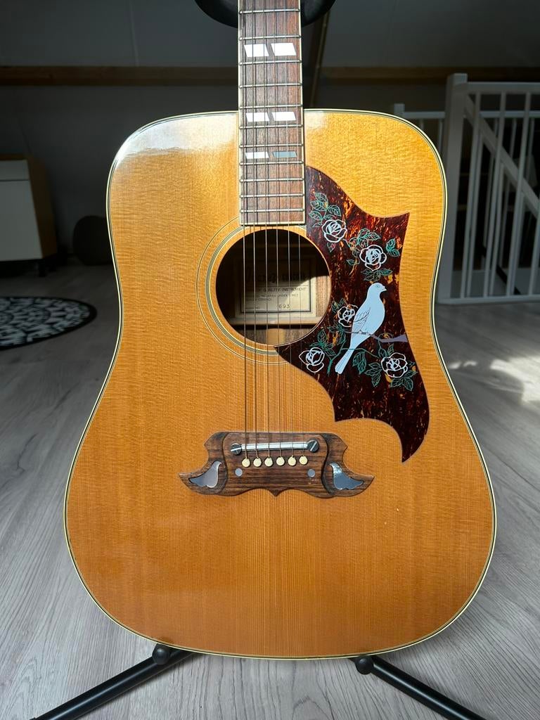 Ibanez Concord Akoestische/Electrische gitaar met koff, Ophalen, Gebruikt, Western- of Steelstringgitaar, Met (piezo-)element