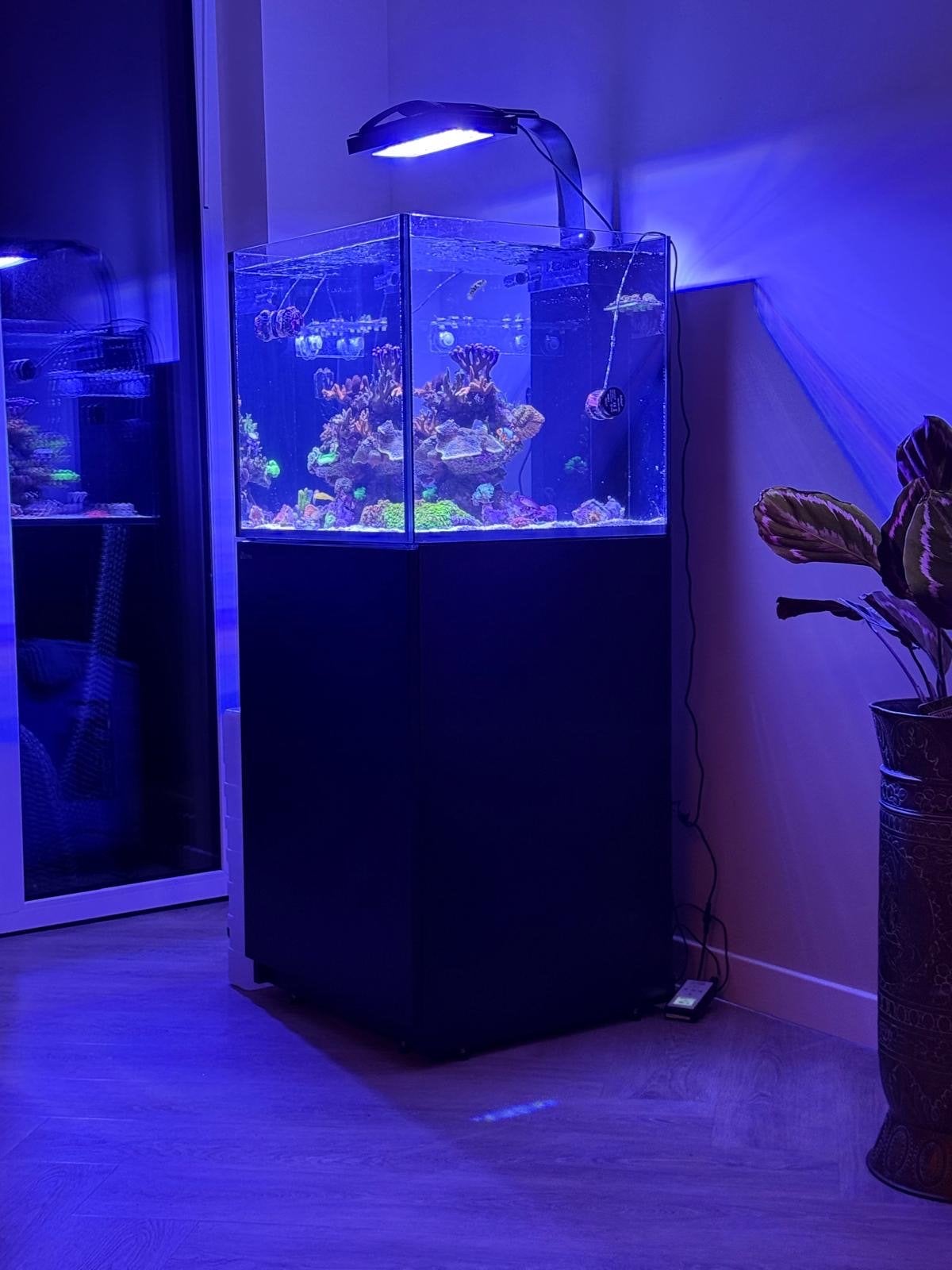 Red sea reefer 200 g2, Dieren en Toebehoren, Red Sea, Gevuld zeewateraquarium, Gebruikt, Ophalen of Verzenden