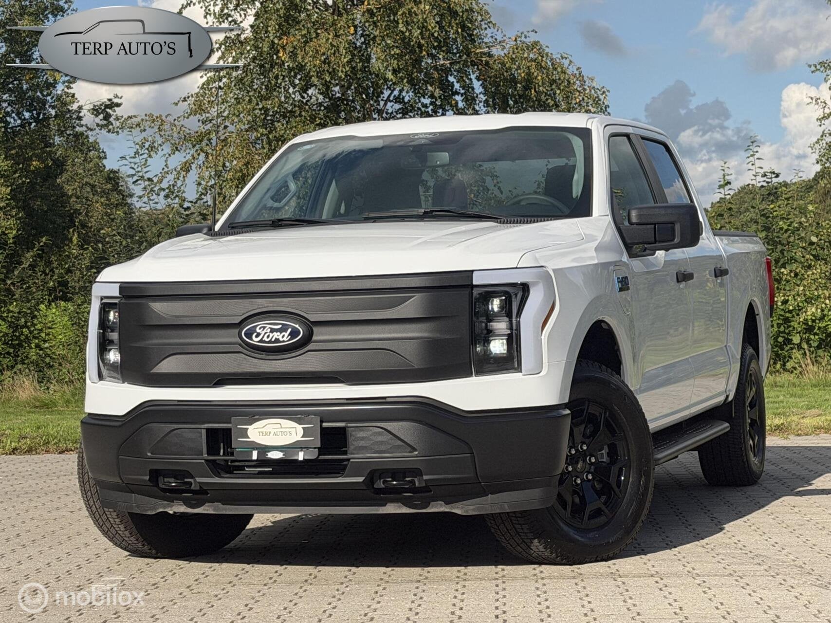 Ford F150 Lightning PRO Extended Range Pro Power onboard 9.6, Auto's, Overige modellen, Overige carrosserieën, 589 pk, Wit