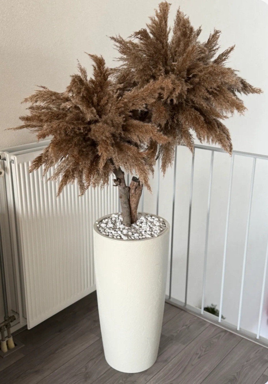 Pampasboom, Ophalen, Binnen, Bruin, Overige typen