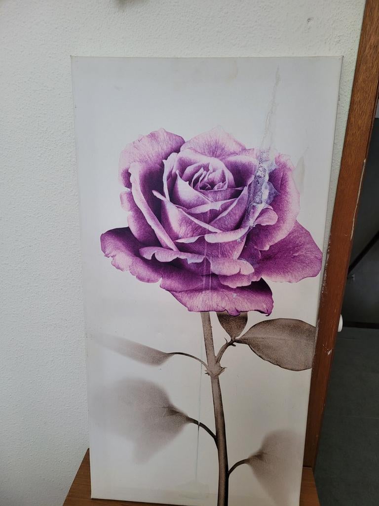 Schilderij paarse roos, Ophalen