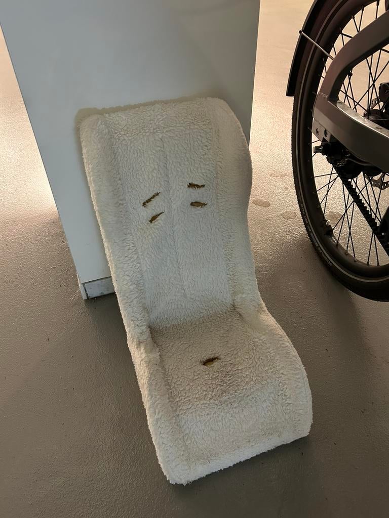 Schelp voor peuter/ peuterschaal bakfiets gratis af te halen, Ophalen, Zo goed als nieuw, 1 kind