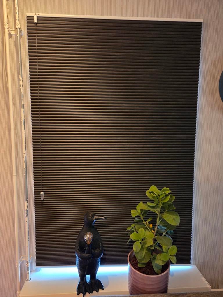 Plissé gordijnen, Ophalen, Grijs, 150 tot 200 cm