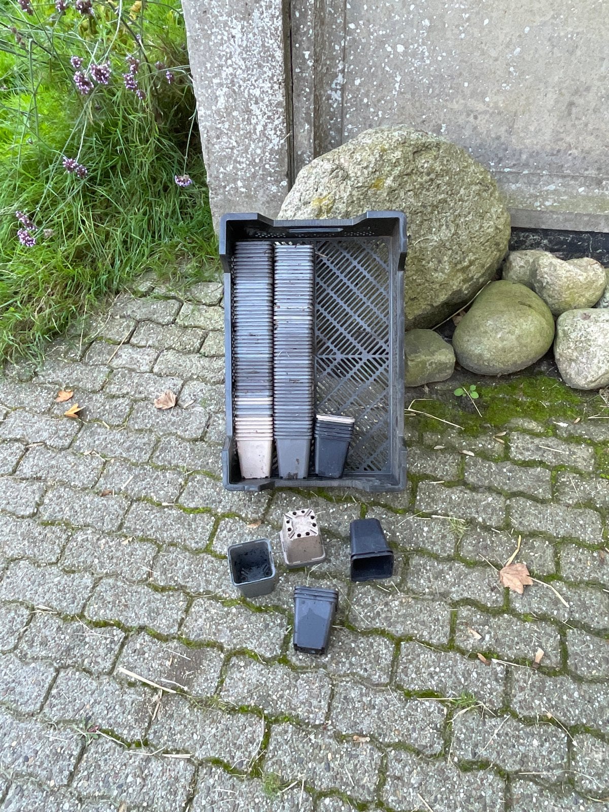 Kweekpotjes /p9 potjes, Kunststof, Gebruikt, Minder dan 30 cm, Minder dan 60 cm