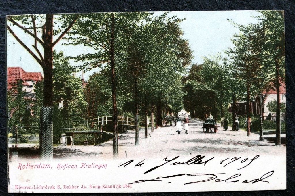 Rotterdam, Hoflaan Kralingen, 1905, handkar, Verzenden, Voor 1920, Gelopen, Zuid-Holland
