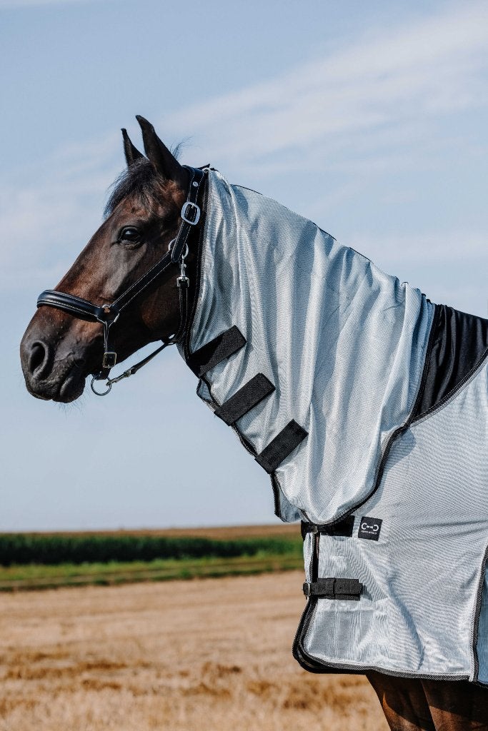 RW vliegendeken met hals en buikflap PAARD en PONY
