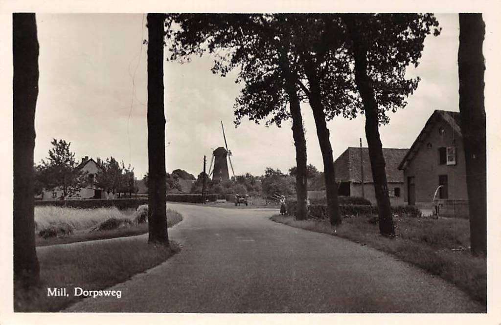 Mill Dorpsweg met molen De Korenbloem Land van Cuijk Brabant, Verzenden, 1940 tot 1960, Gelopen, Noord-Brabant