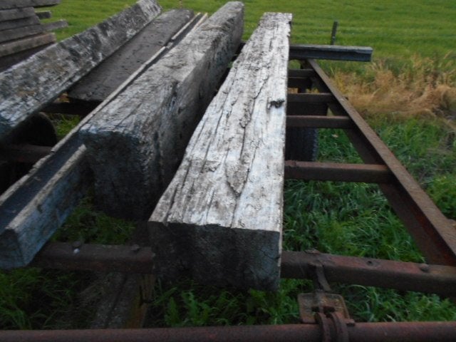 bielzen 4 stuks, Tuin en Terras, Bielzen en Borders, Ophalen, Gebruikt, 25 tot 50 cm, 25 cm of meer