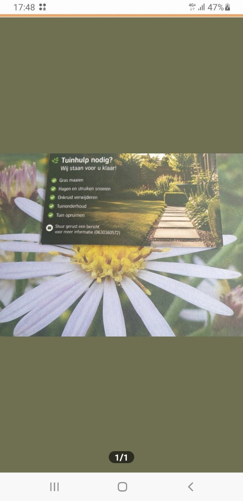 Tuin, Ophalen of Verzenden, Gebruikt