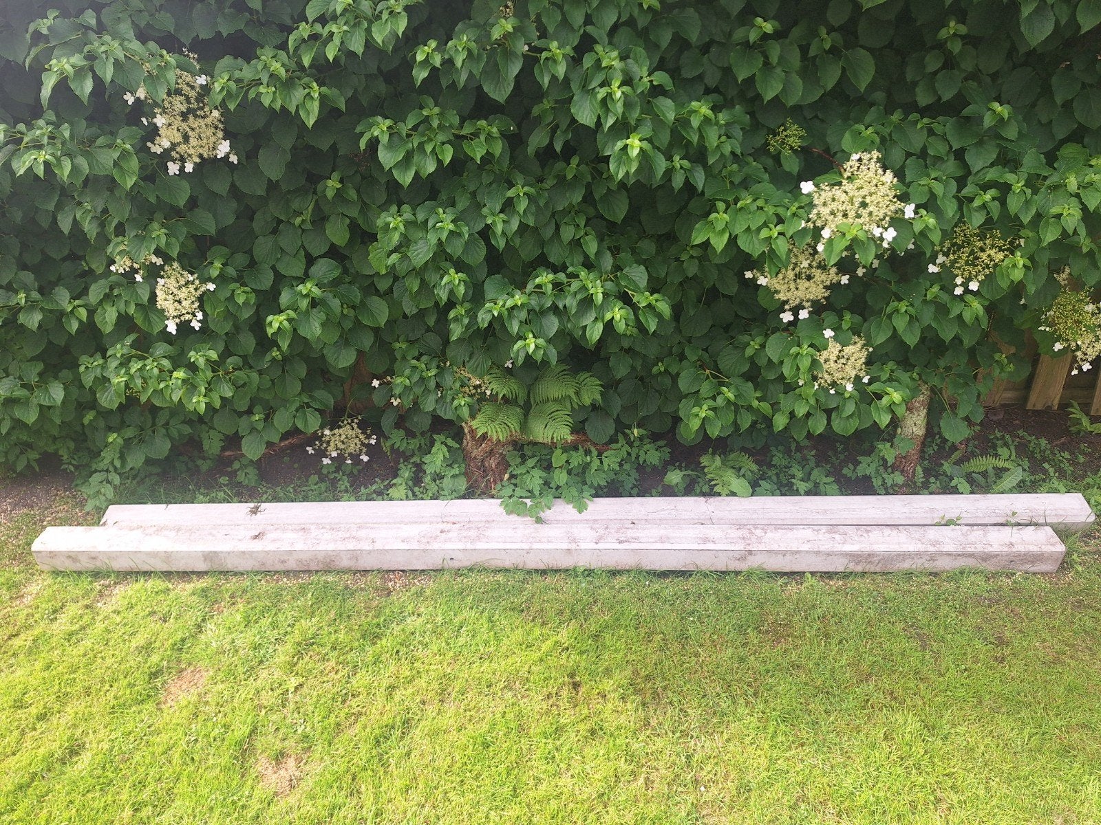 Twee ongebruikte betonnen schutting palen, Ophalen, Nieuw, 250 cm of meer, Palen