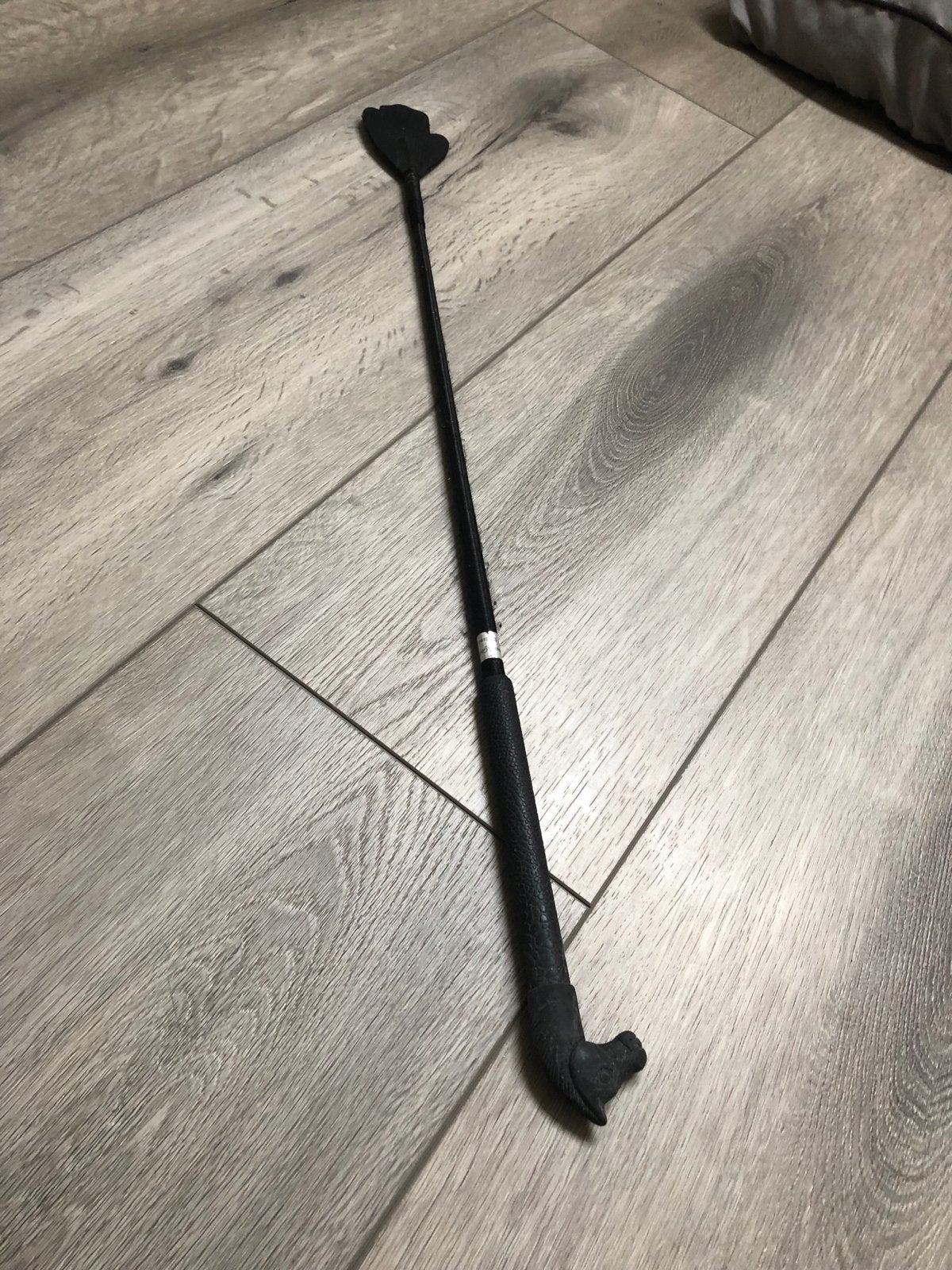 Zweep, Ophalen of Verzenden
