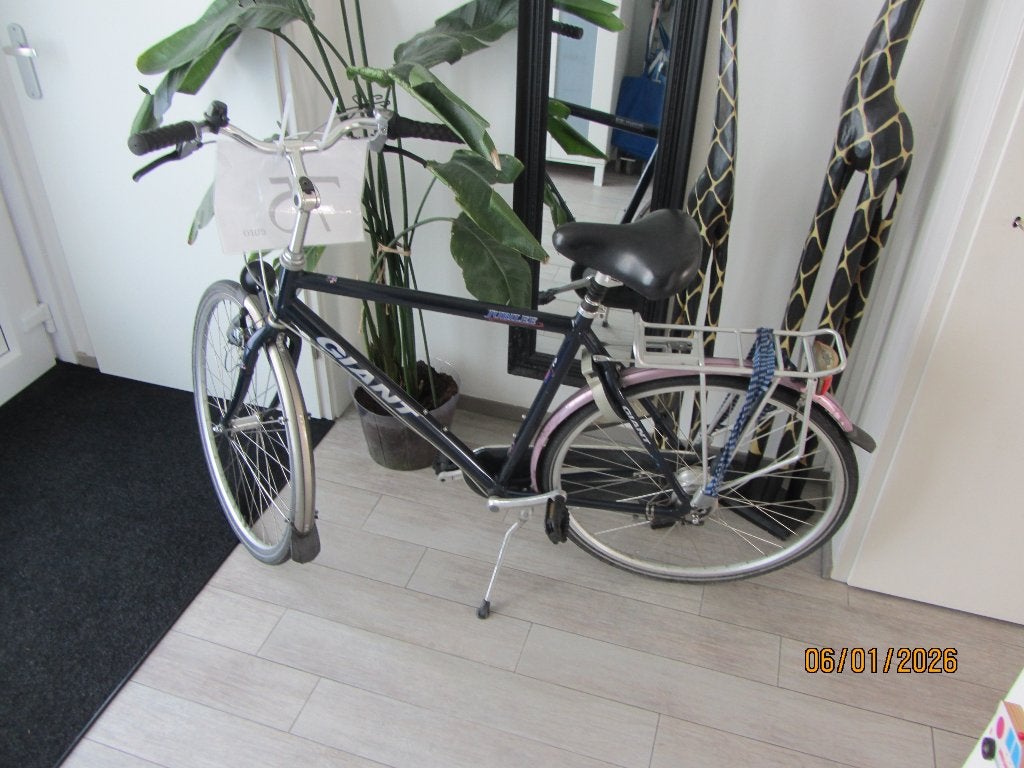 giant herenfiets, Ophalen, Gebruikt, Velgrem, Versnellingen