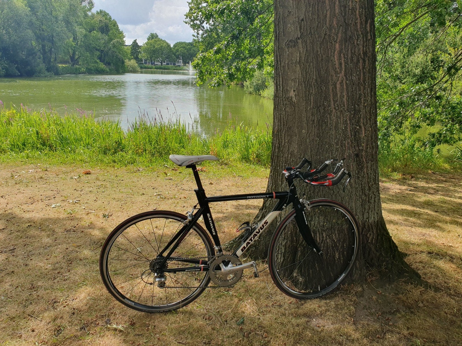 Batavus Professional X alu 52 cm tijdritfiets 10speed, Fietsen en Brommers, Fietsen | Heren | Sportfietsen en Toerfietsen, Ophalen