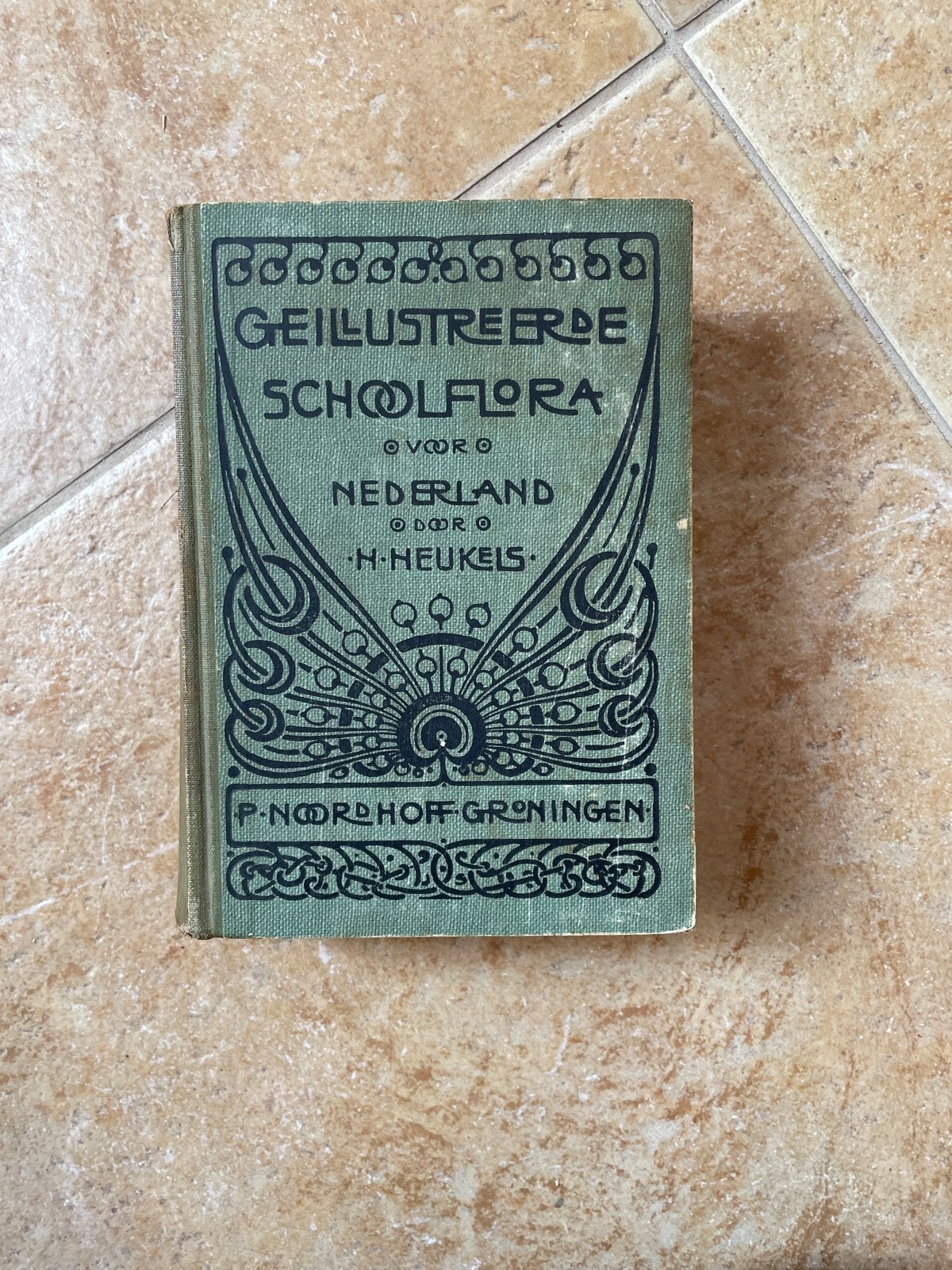 Geïllustreerde Schoolflora voor Nederland - H. Heukels, Ophalen of Verzenden, Beta, Gelezen, Overige niveaus