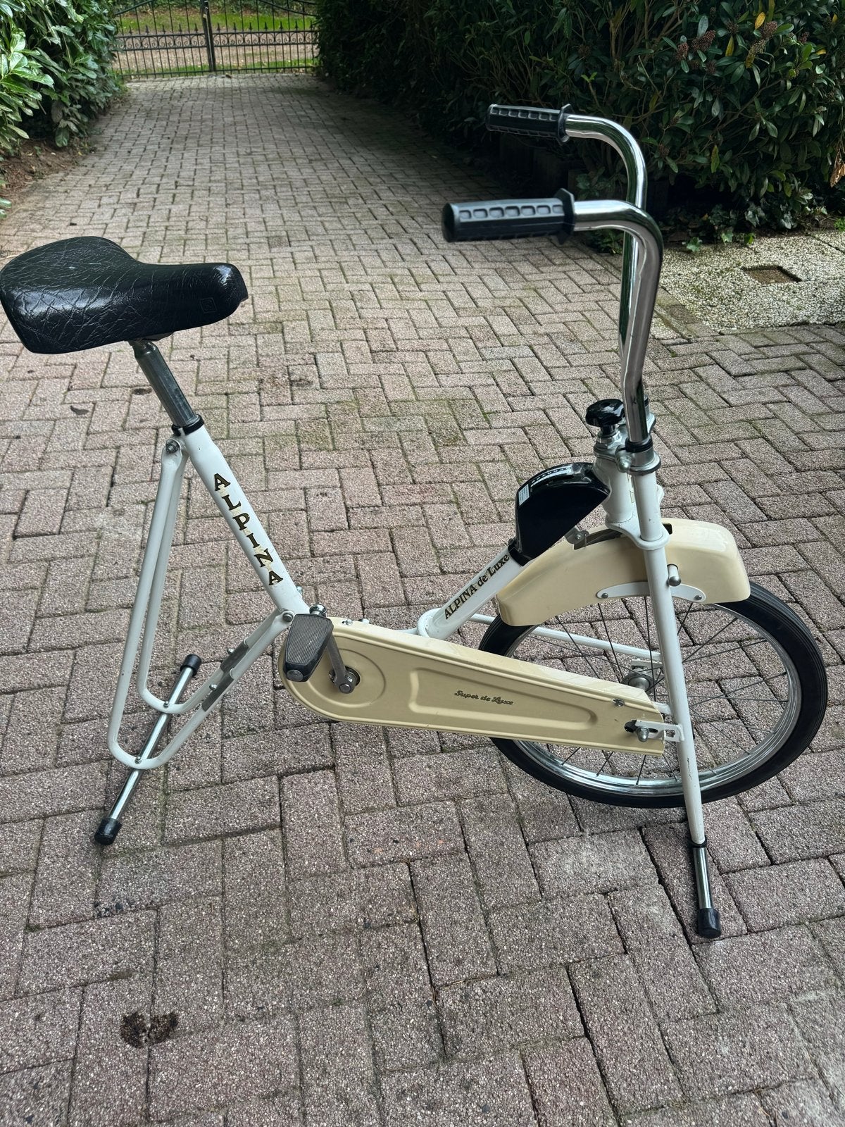 Vintage Alpina de Luxe hometrainer - Super de Luxe, Fietsen en Brommers, Ophalen of Verzenden, Gebruikt