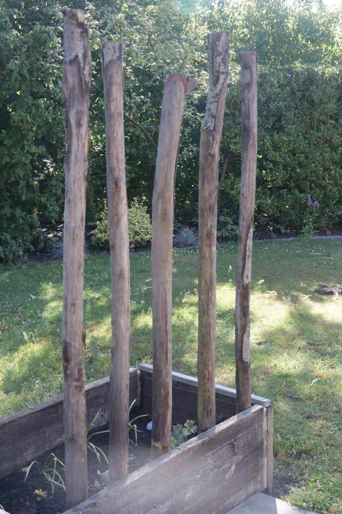 kastanje palen, Tuin en Terras, Palen, Balken en Planken, Zo goed als nieuw, Palen, Minder dan 180 cm, Ophalen