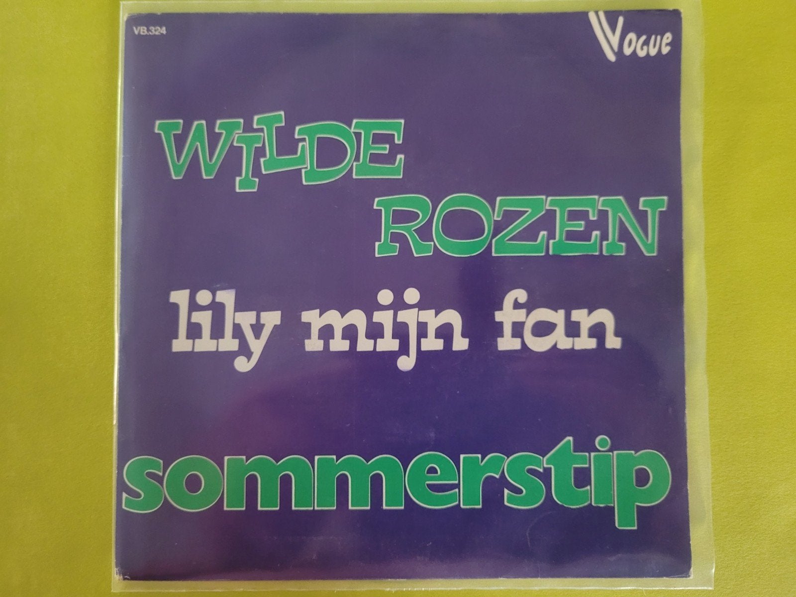 Sommerstip - Wilde rozen - Sommerstip, Ophalen, Zo goed als nieuw, Overige formaten, Levenslied of Smartlap