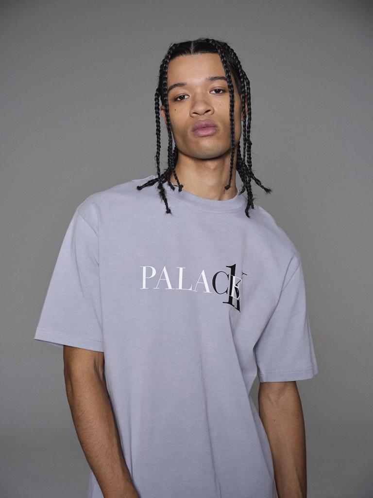 Palace x Calvin Klein grijs t-shirt | M, Ophalen of Verzenden, Nieuw, Maat 48/50 (M), Grijs