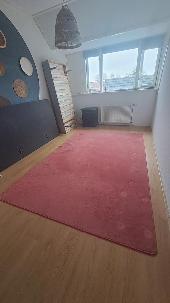 Vloerkleed met wat gebruikers sporen, Huizen en Kamers