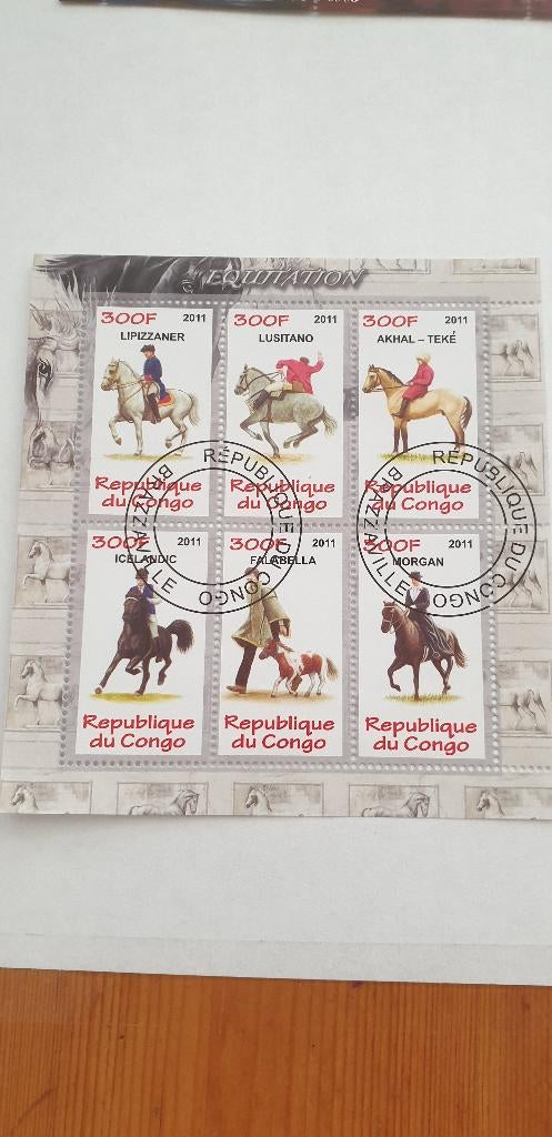 5374 congo paarden equitation, Verzenden, Overige landen