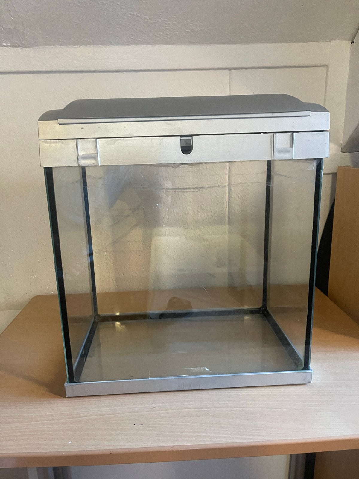 Vis Aquarium, Ophalen of Verzenden