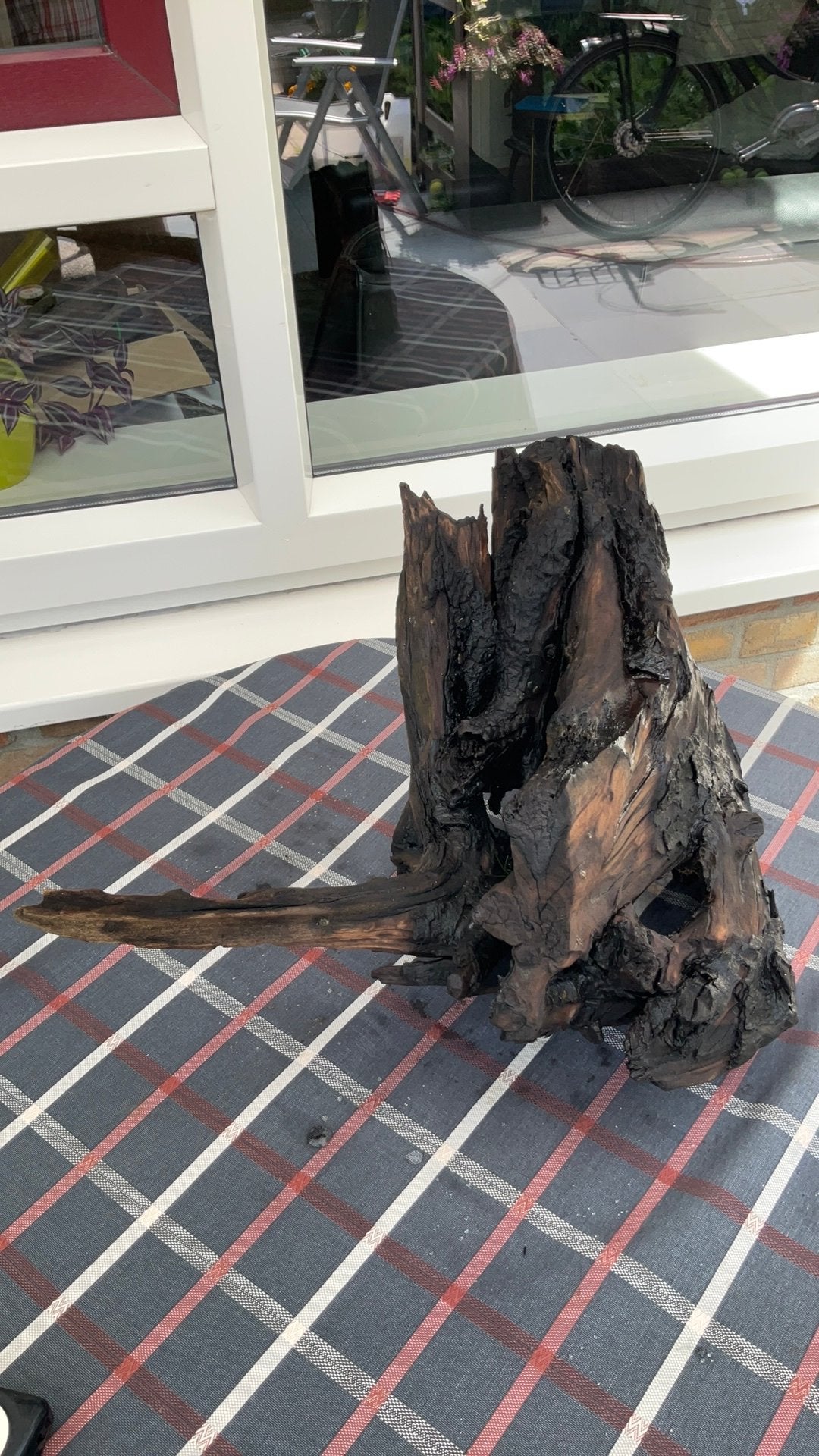 Aquarium hout., Dieren en Toebehoren, Ophalen of Verzenden, Zo goed als nieuw, Plant(en), Steen of Hout