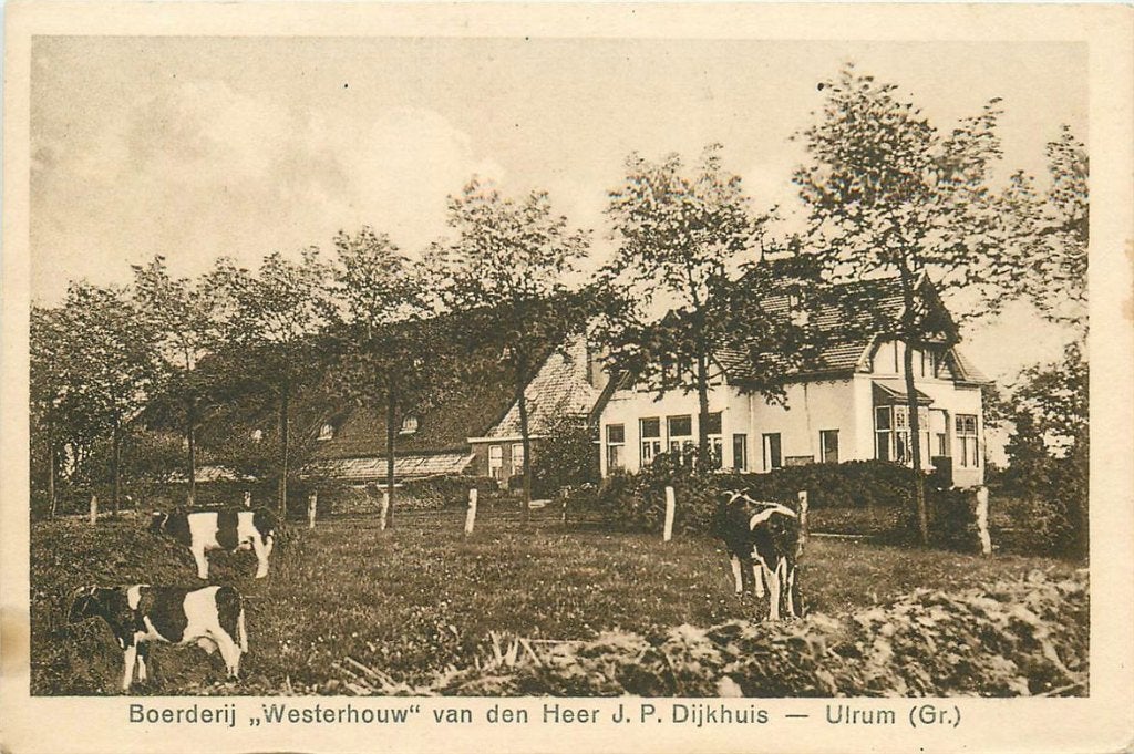702-003-021 Ulrum Westerhouw Dijkhuis, Verzamelen, Ansichtkaarten | Nederland, Verzenden, Voor 1920, Groningen