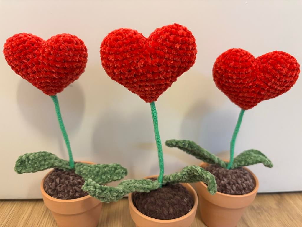 Hartplantje gehaakt, Ophalen of Verzenden, Nieuw