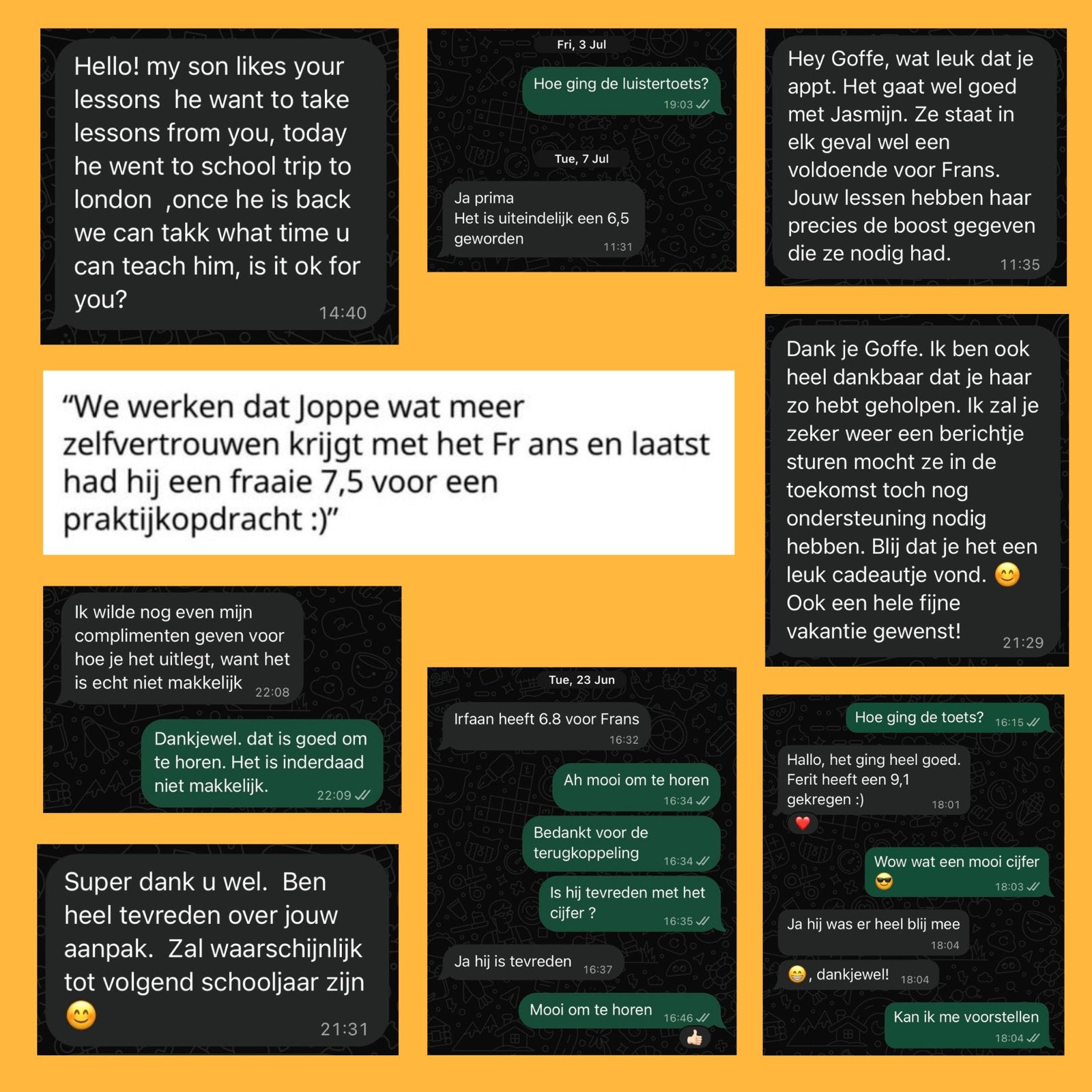 Online Bijles Frans Duits Engels Spaans - ook examentraining, Bijles