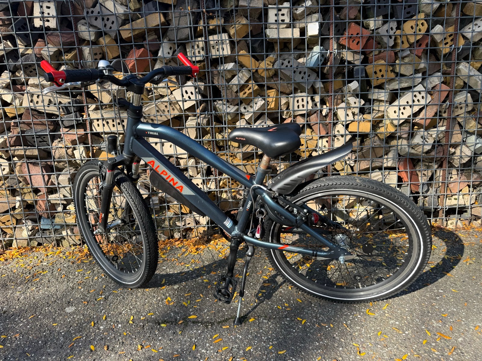 Foto 3 van Alpina Trial 22 inch - Zo goed als nieuw
