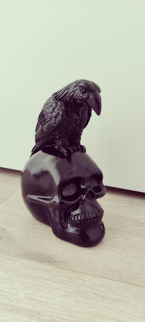 Crow on skull kraai op schedel obsidiaan zwart 18cm, Ophalen of Verzenden, Nieuw