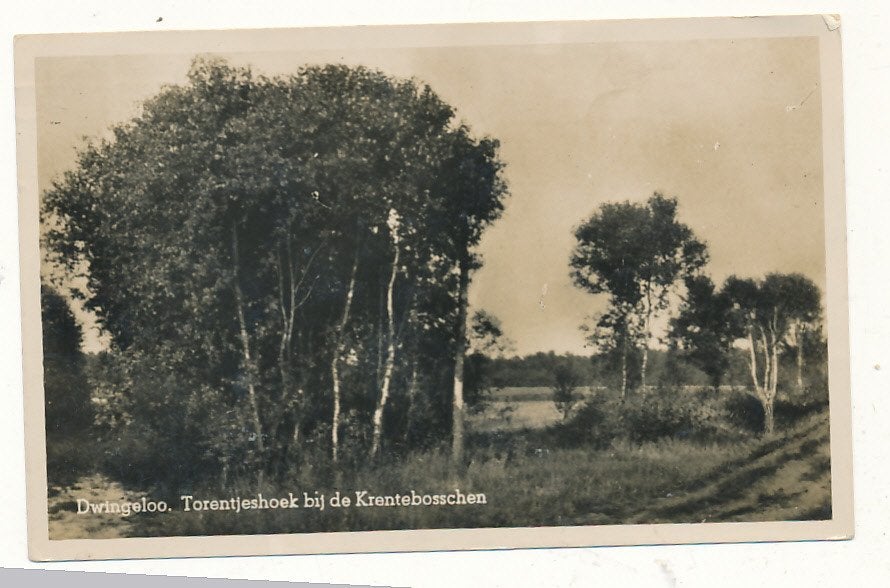 11159 Dwingeloo Torentjeshoek bij de Krentebosschen, Ophalen of Verzenden, 1920 tot 1940, Drenthe