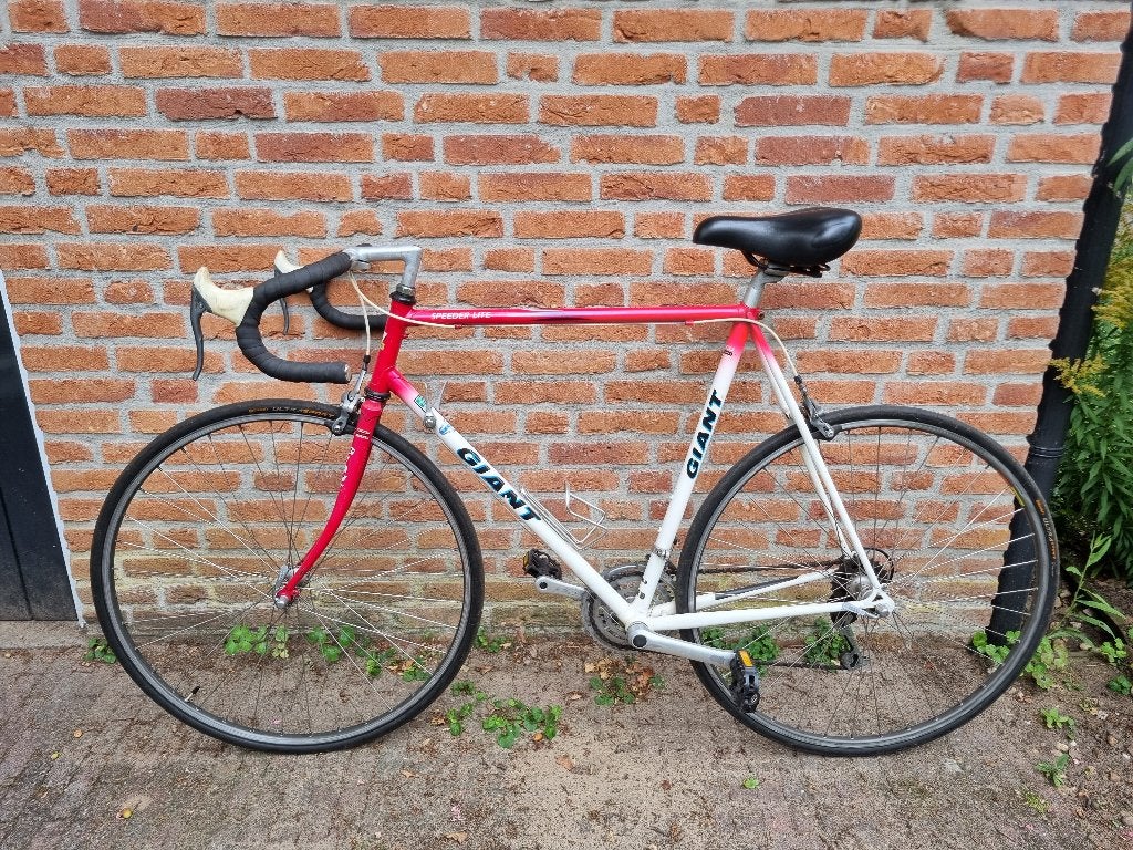 giant speeder lite framemaat 56, Ophalen, Overige materialen, Gebruikt, Giant
