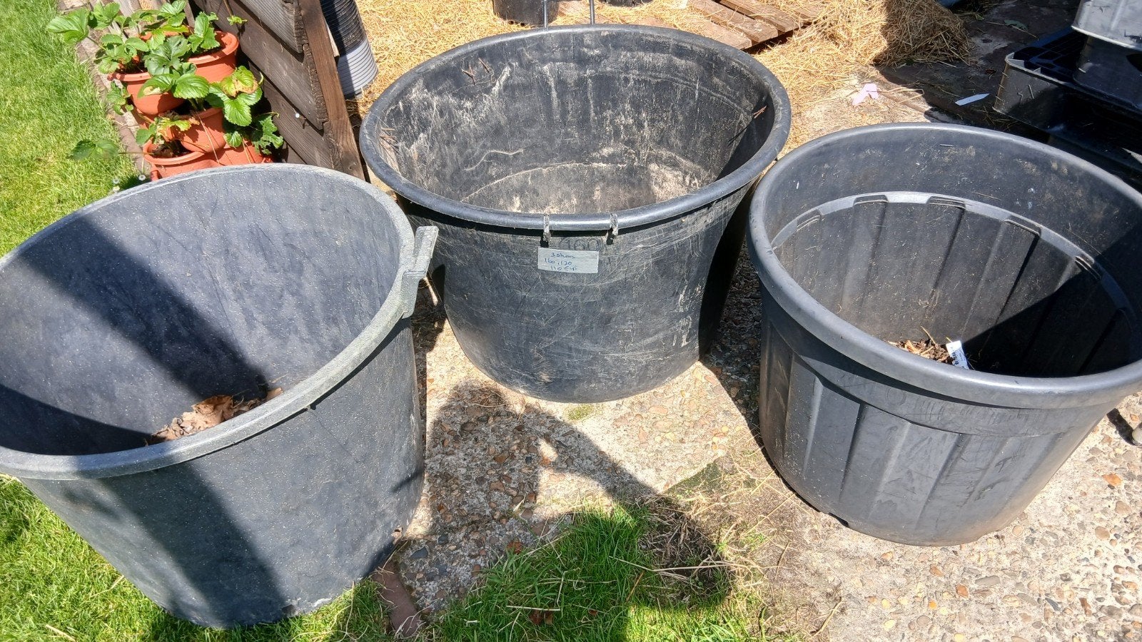 Gebruikte boomkuipen, Tuin en Terras, Bloembakken en Plantenbakken, Ophalen, Kunststof, Gebruikt, Minder dan 30 cm