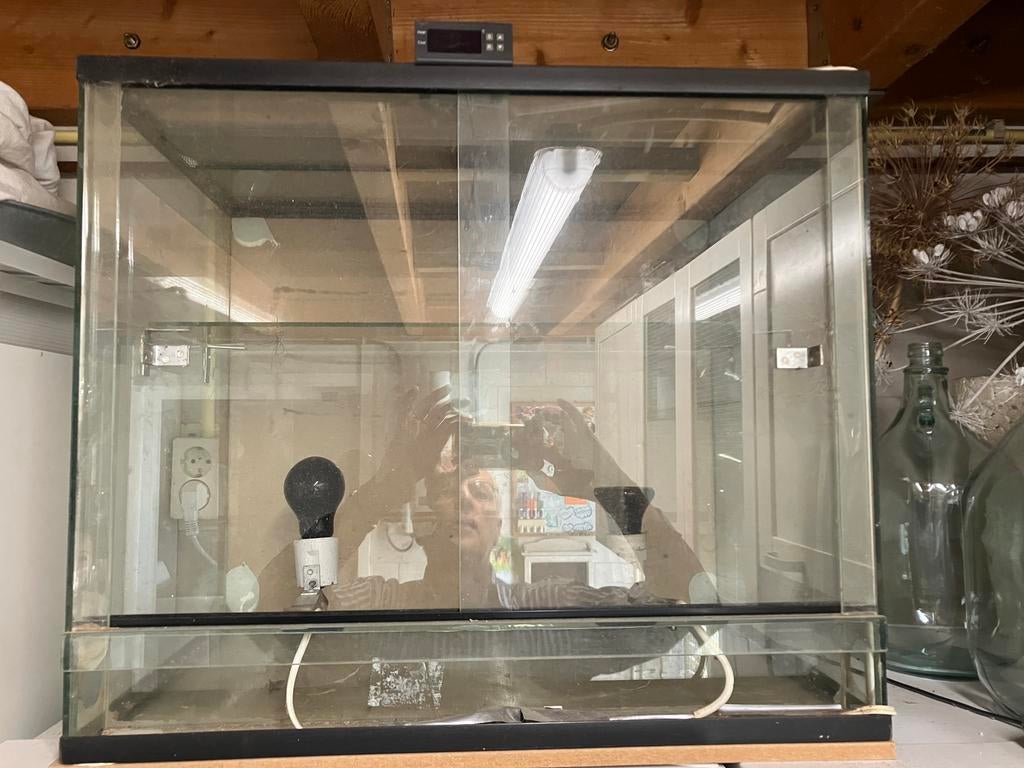 Te koop fruitvliegjes kweekstation, Dieren en Toebehoren, Ophalen, Gebruikt, Kooi-accessoires