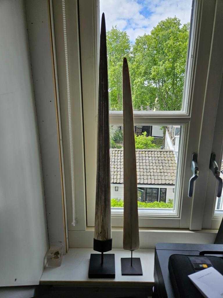 Decoratieve Zwaardvis Rostrums op Stevige Steun, Antiek en Kunst, Ophalen of Verzenden