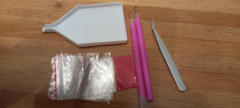 diamond painting set ASSECOIRES diamond painting pen ,blok, Ophalen of Verzenden, Nieuw, Overige thema's, Knutselwerk