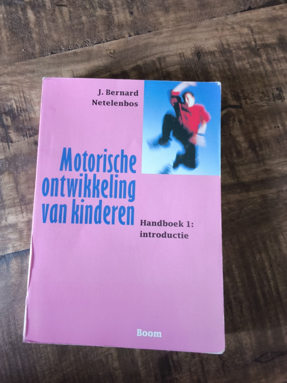 Motorische ontwikkeling van kinderen - Handboek 1, J. Bernard Netelenbos, Zo goed als nieuw, Gamma, HBO