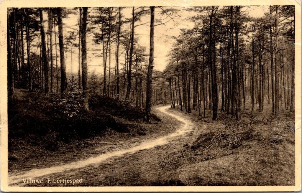 Veluwe - Eibertjespad (1951) 2x, Verzenden, 1940 tot 1960, Gelopen, Gelderland