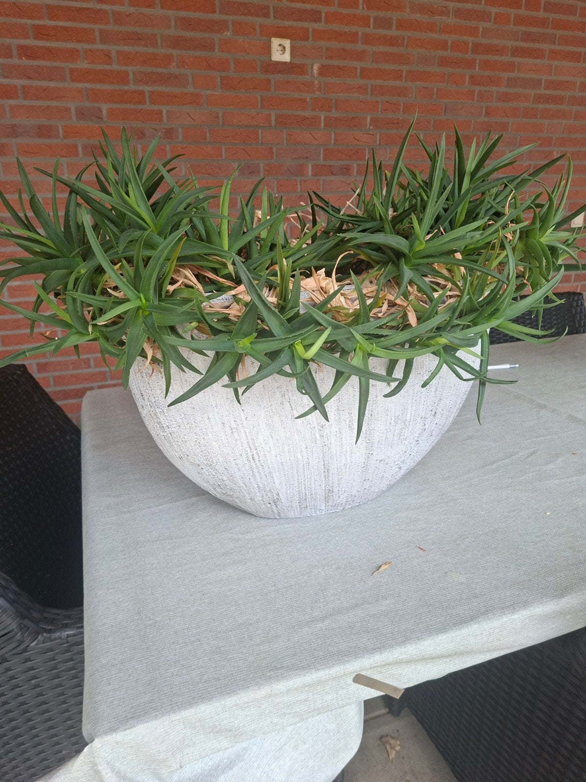 2 mooie grote potten licht grijs, Huis en Inrichting, Ophalen, Zo goed als nieuw, Grijs, Landelijk
