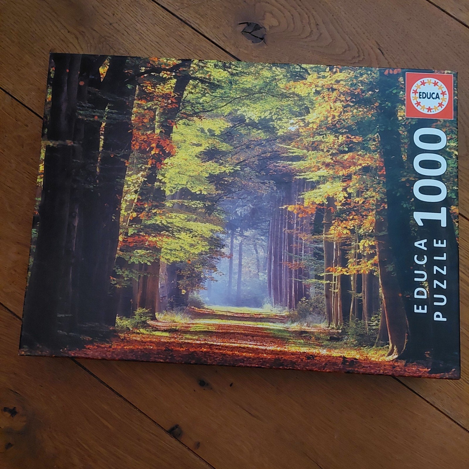 Puzzel, bos in zonlicht, Ophalen of Verzenden, 500 t/m 1500 stukjes, Zo goed als nieuw