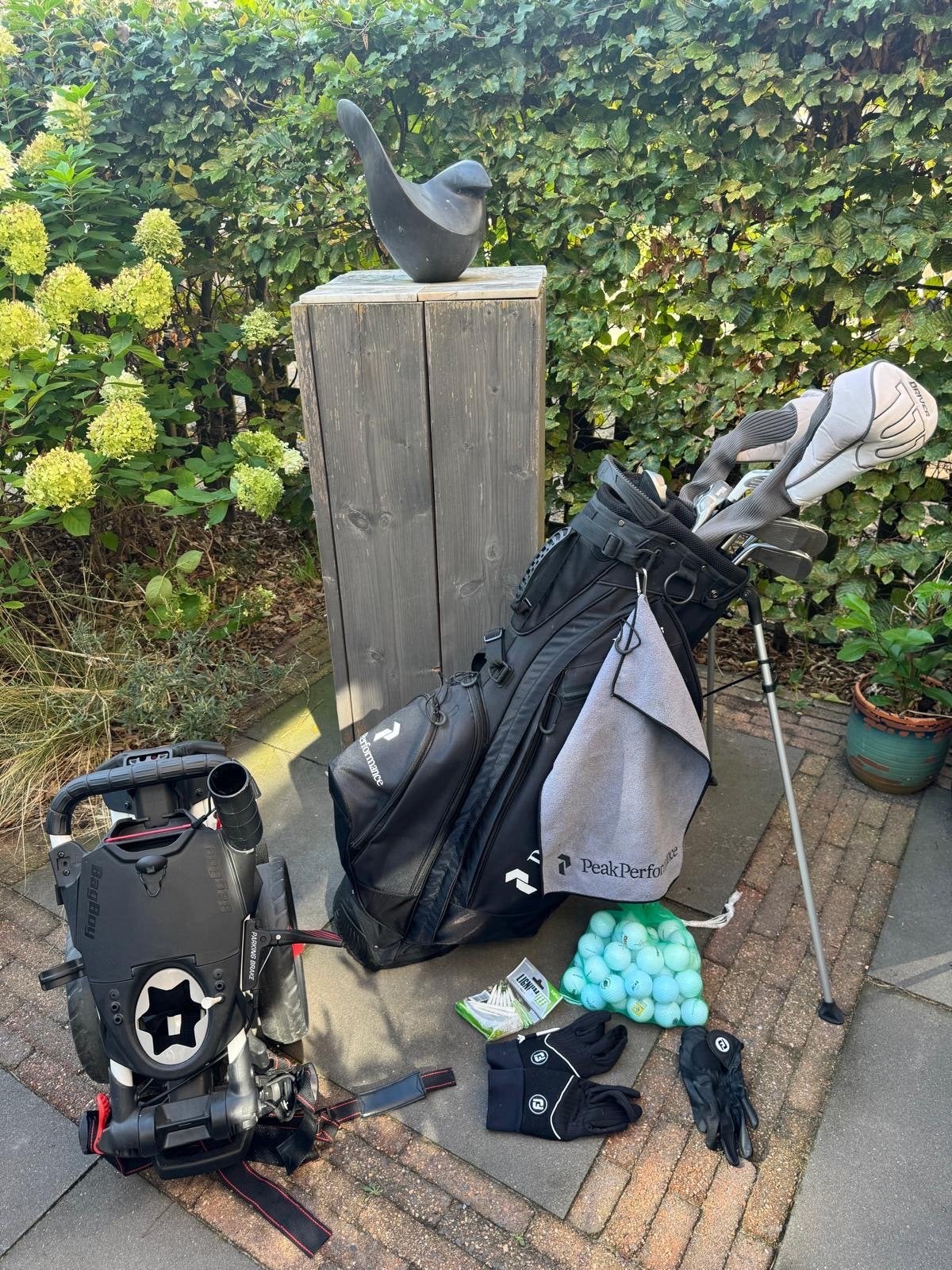 Complete golfset met tas, clubs, kar en accessoires, Ophalen, Gebruikt, Set, Overige merken