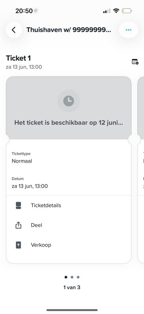 Thuishaven 999999999 12 juni ticket, Ophalen of Verzenden, Zo goed als nieuw