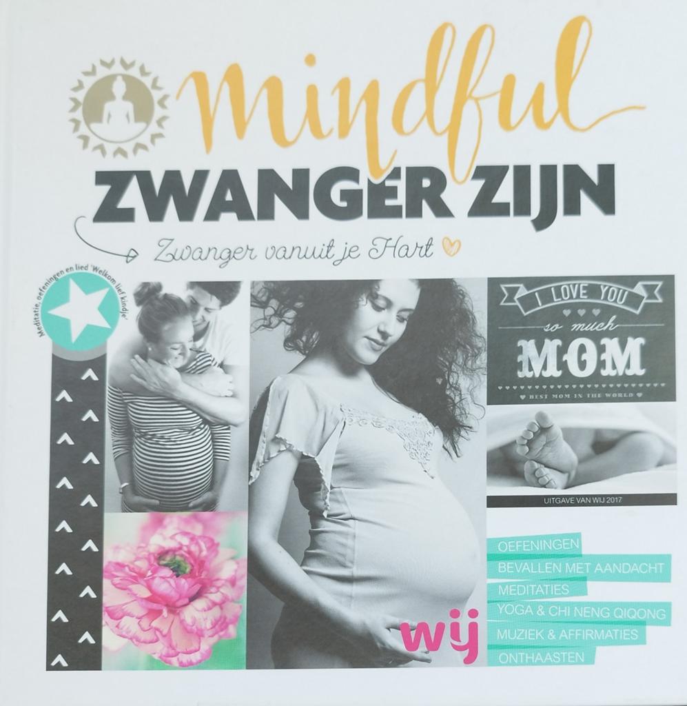 Mindful Zwanger Zijn: Zwanger vanuit je Hart, Ophalen of Verzenden, Nieuw, Zwangerschap en Bevalling, Yvon Tuitel-Zwanenburg, Anna van Amsterdam